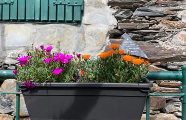 Canastro Nature Spot - Foto 39