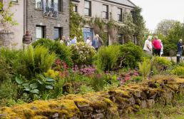 Clonaslee House - Foto 18