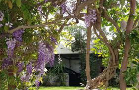 Casa da Madalena do Mar - Foto 42