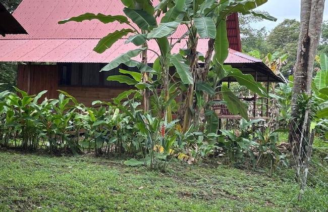 Hacienda Río Oro - Foto 50