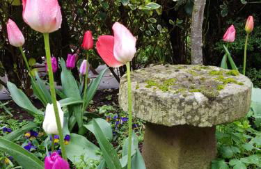 Anniston Farm Cottages - Photo 5