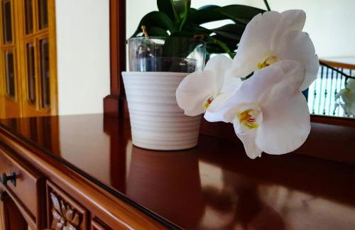 Villa Tres Palmeras en Alfaz del Pi , Albir, Benidorm - Photo 52