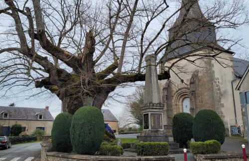 gites le ciel clair - Photo 31