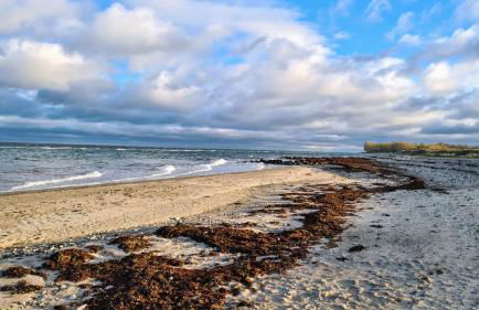 Ferienwohnung Kiekut 1 - Foto 8