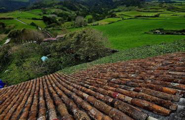 Quinta da Espadana - Photo 48