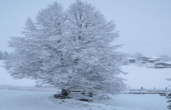 Flat in Mittersill Near Ski Slopes - Foto 42