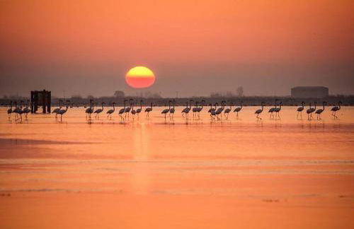 Casa2patis - Foto 47