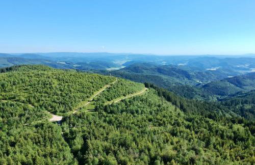 Ferienwohnungen Beilerstädtle - Foto 27