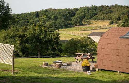 Wild Northumberland Glamping - Foto 69