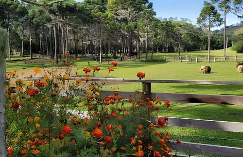 Cabana Pequeno Bosque som dás Águas - Foto 36