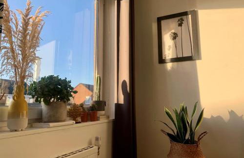 Lovely 1 Bedroom Flat in zone 1/2 London - Photo 13