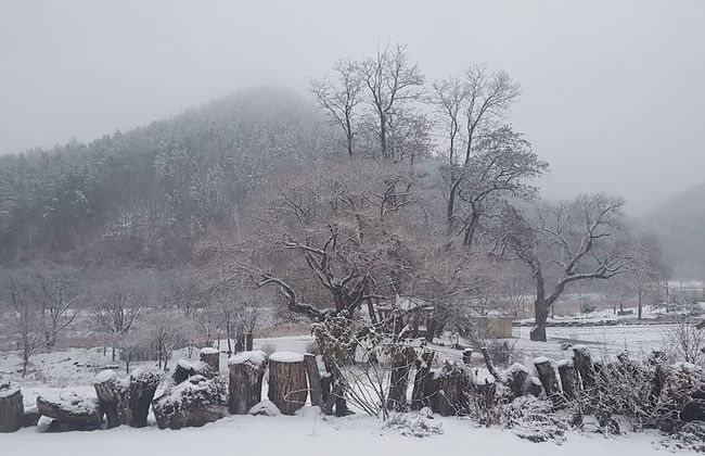 Moonlight House - Photo 33