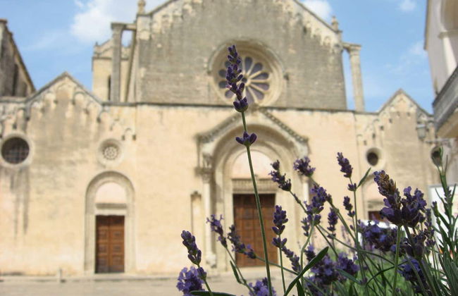 Tour privato di Galatina - Foto 2