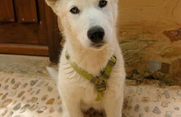 Casa Rural Las Águedas - Photo 11