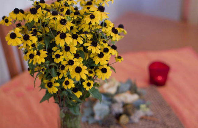 Holiday Home Lana - Foto 16