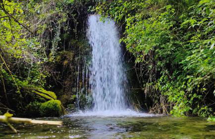 La Tana della Volpe - Foto 8