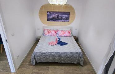 Ville Scelsa - Foto 6