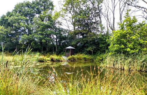 Peaceful ensuite lakeside cabin 'Tench' - Foto 15