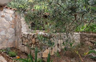 Villa Adriatica - Foto 6