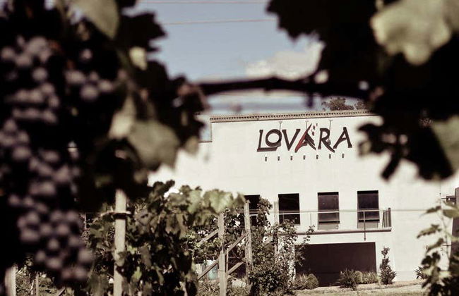 Tour del vino por el Vale dos Vinhedos - Foto 9