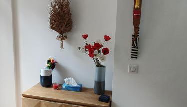 Luxueux 3 Pièces - Wilson - Foto 2