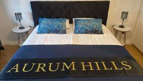 Aurum Hills - Photo 4