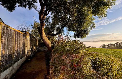 Torridge House Cottages - Foto 58