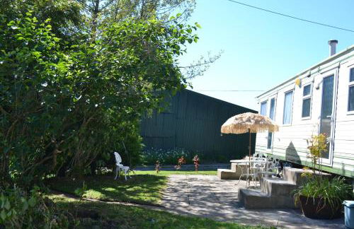 Swallows Return - Foto 17