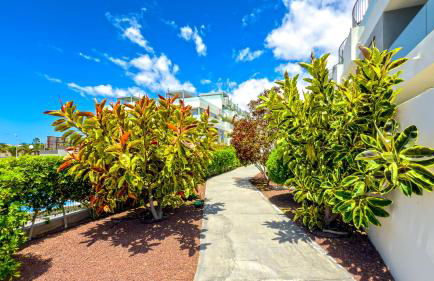 Apartment in La Tejita with fabulous views - Foto 44