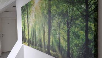 FeWo Sundernblick - Foto 4