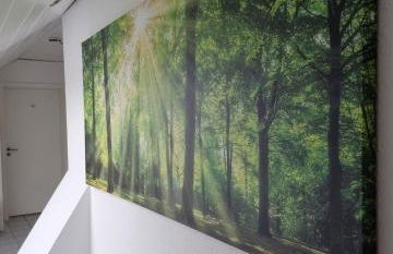 FeWo Sundernblick - Foto 4