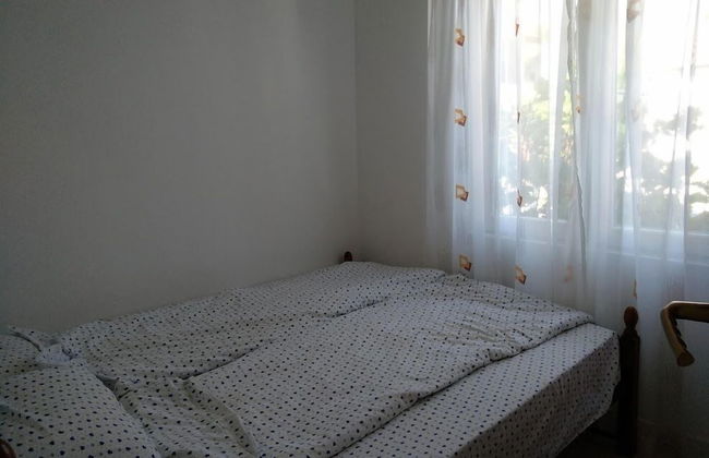 Vila Gerbera - Foto 8