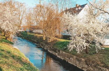 Creek House - Foto 32