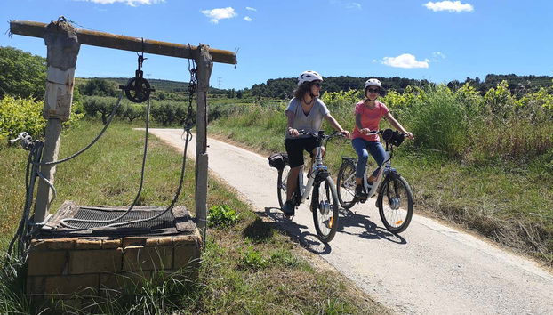 Penedes Vineyards Bike Tour - Foto 3