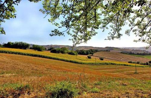 Villa Ginevri, La casa vacanze immersa nel verde - Foto 31