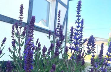 Domki Trzy - 3 - Foto 20