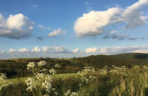 Zum Goldenen Schaf II - Photo 27