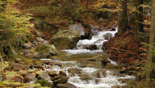 Ferienwohnungen Haus Rachel - Foto 4