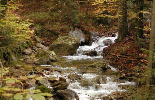 Ferienwohnungen Haus Rachel - Foto 4