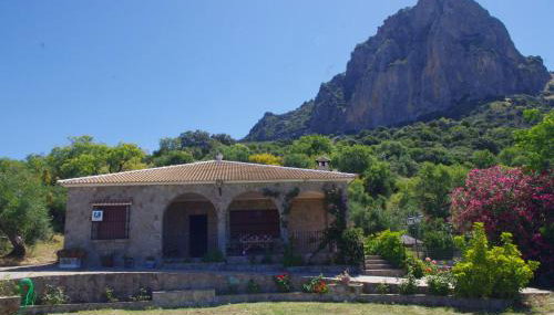 Finca Barreras - Foto 4