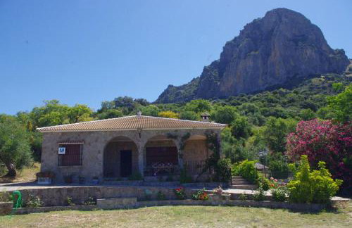 Finca Barreras - Photo 4