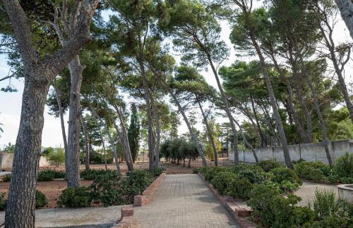 GuestHost - Villa Isidoro Pizzolungo Vibes - Foto 25