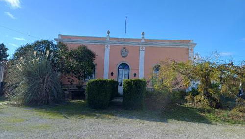 Quinta do Minhoto, Charming country House close to Golegã - Foto 4