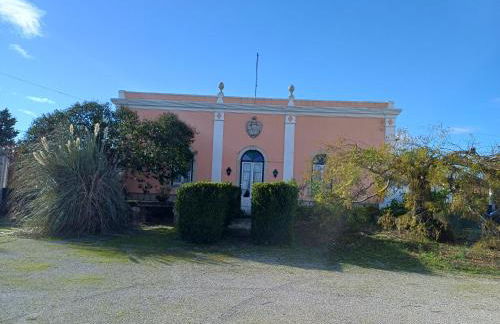 Quinta do Minhoto, Charming country House close to Golegã - Foto 4