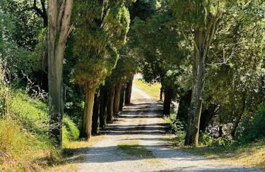 Villa Monteleone - Foto 7