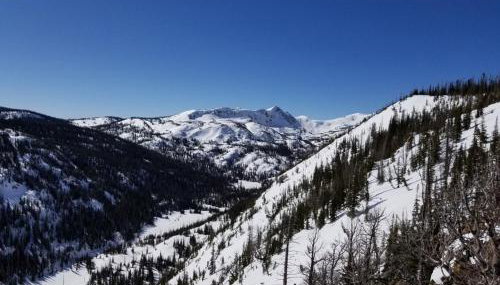 Whistle Pig Retreat at 22 West Cabins and Recreation - Foto 3