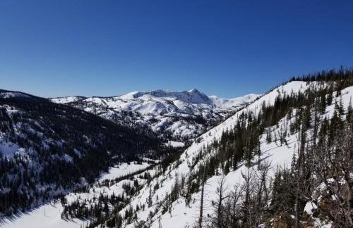 Whistle Pig Retreat at 22 West Cabins and Recreation - Foto 3