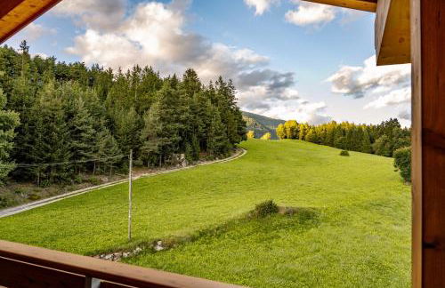 Forchnerhof Nature & Mountain View Apartments - Foto 6