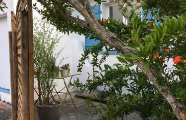 PETIT STUDIO de L'ERMITAGE - Foto 27