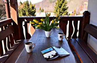 Chata z Kominkiem - Drozdówka Solina- 6-9-2-2-8-1-3-6-3 - Foto 33